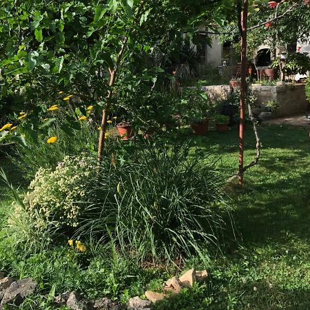 Green Quiet Apartments Vodice Luaran gambar